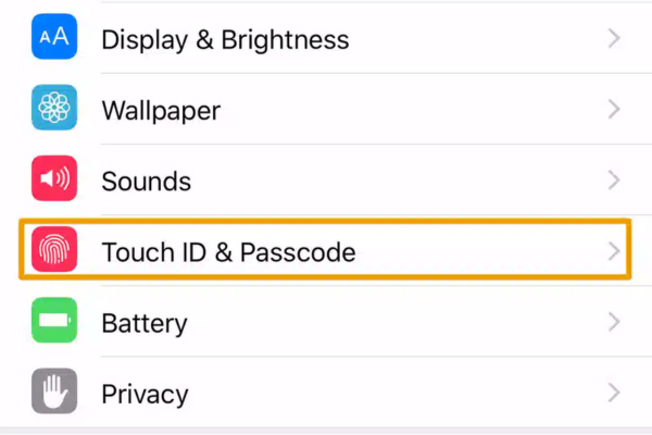Chọn mục Touch ID & Passcode trong cài đặt 