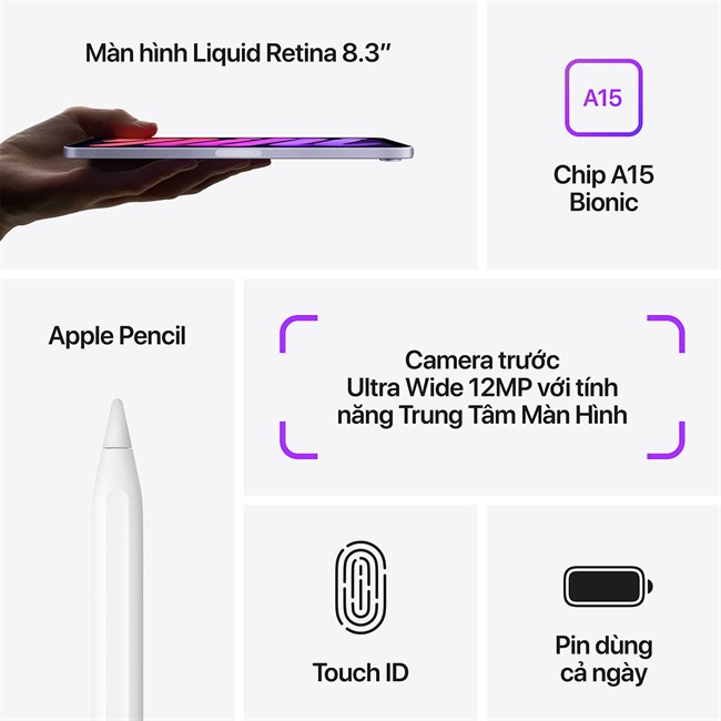 iPad Mini 6 WiFI & Cellular