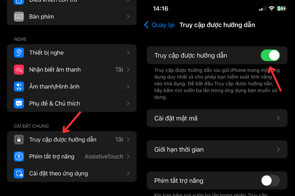 Trong mục